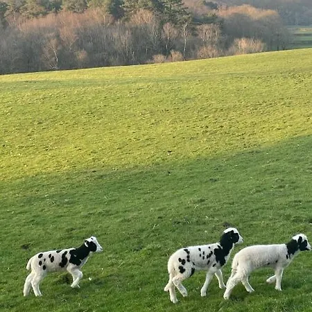 Holmside * Holmrook